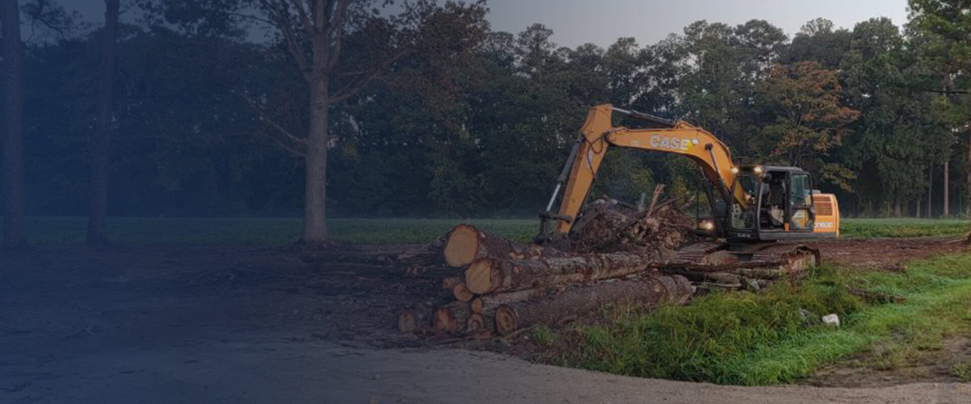 excavator machinery removing tree trunks from property vanceboro nc